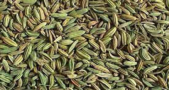 نام علمی زیره کوهی و اسم دیگر زیره کوهی یا زیره سیاه چه نام دارد نام علمی زیره کوهی ؛ اسم دیگر زیره کوهی یا زیره سیاه چه نام دارد