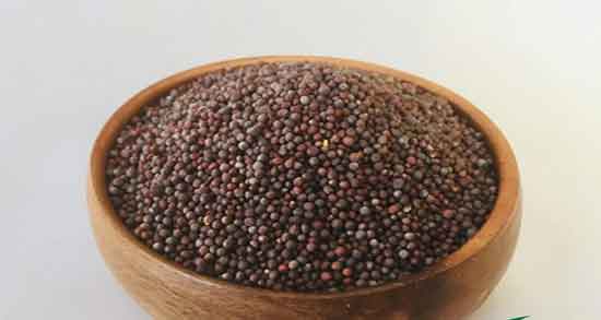 نحوه مصرف دانه خردل برای لاغری و دستور استفاده از خردل برای لاغری نحوه مصرف دانه خردل برای لاغری ؛ دستور استفاده از خردل برای لاغری