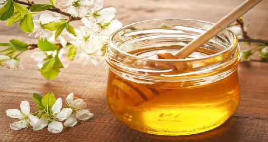 نشانه های عسل طبیعی ؛ بهترین روش برای تشخیص دادن عسل طبیعی