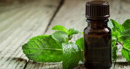 نعناع فلفلی برای پوست ؛ درمان جوش های صورت با نعناع فلفلی