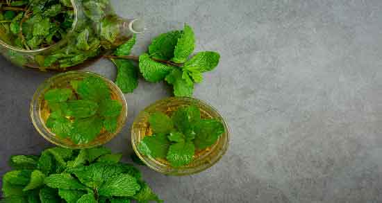 نعناع فلفلی و خواص آن ؛ آشنایی با خاصیت درمانی نعناع فلفلی برای سلامتی