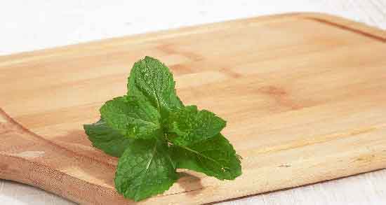 نعناع فلفلی و فشار خون و خاصیت خوردن نعناع فلفلی برای کاهش فشار خون نعناع فلفلی و فشار خون ؛ خاصیت خوردن نعناع فلفلی برای کاهش فشار خون