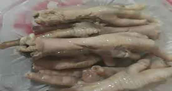 پای مرغ برای سگ و ایا استخوان پای مرغ برای غذای سگ مفید است پای مرغ برای سگ ؛ ایا استخوان پای مرغ برای غذای سگ مفید است