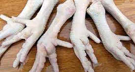 پای مرغ برای شکستگی ؛ آیا پای مرغ برای شکستگی استخوان مفید است