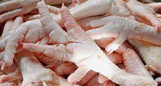 پای مرغ در شیردهی و خواص مصرف پای مرغ در دوران شیردهی زنان پای مرغ در شیردهی ؛ خواص مصرف پای مرغ در دوران شیردهی زنان