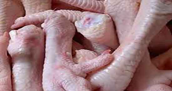 پای مرغ چربی دارد ؛ ایا مصرف پای مرغ پخته باعث اضافه وزن میشود