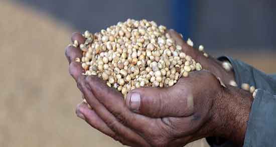 پروتئین روغن سویا ؛ ارزش غذایی روغن سویا در جدول غذایی