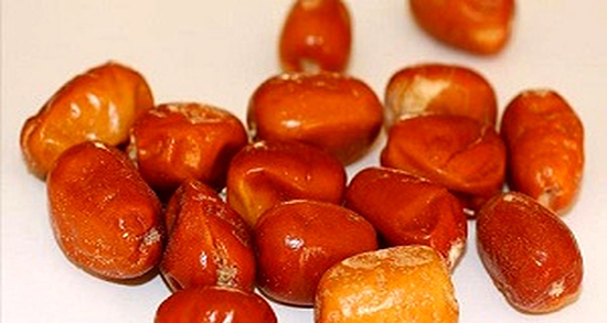 پودر سنجد برای لاغری شکم ؛ ایا پودر سنجد باعث چربی لاغری میشه