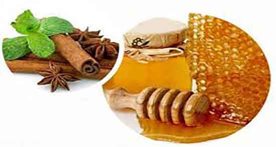 چای دارچین چگونه درست کنیم و دستور مصرف چای دارچین در خانه چای دارچین چگونه درست کنیم ؛ دستور مصرف چای دارچین در خانه