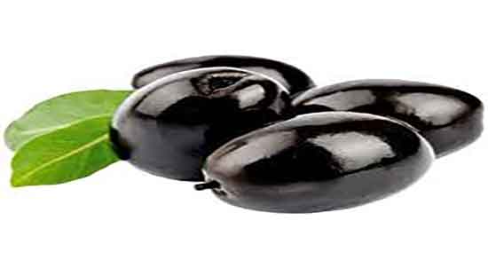 چرا زیتون سبز سیاه میشود ؛ زیتون رسیده سیاه شده از کجا بخرم