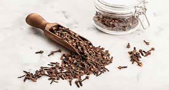 چگونه دمنوش میخک درست کنیم ؛ دستور تهیه دمنوش میخک چگونه است