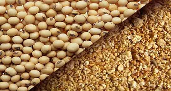 کاربرد روغن سویا در صنعت ؛ خواص روغن سویا صنعتی برای پوست صورت