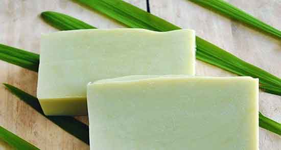 کافور و چاقی ؛ ایا استفاده از کافور باعث چاقی و اضافه وزن میشود یا نه
