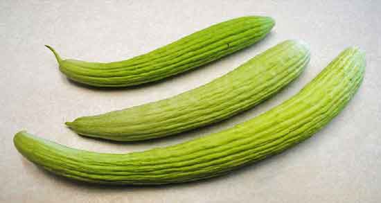 کالری خیار چنبر ؛ چه میزان کالری در خیار چنبر وجود دارد