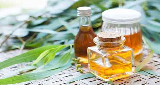 کالری روغن اکالیپتوس ؛ میزان کالری چند قطره روغن اکالیپتوس چقدره