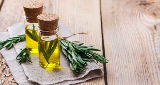 کالری روغن رزماری و چه میزان کالری در روغن رزماری وجود دارد کالری روغن رزماری ؛ چه میزان کالری در روغن رزماری وجود دارد