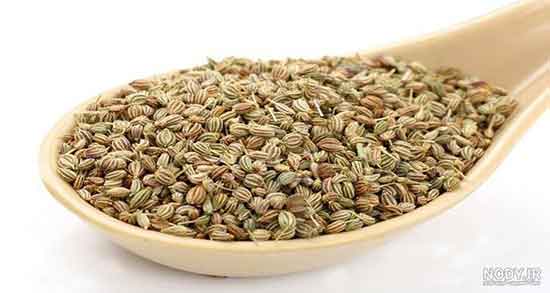 کالری زنیان ؛ میزان کالری زنیان تازه از نظر طب سنتی چقدره