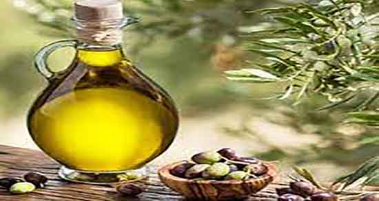 کالری زیتون وحشی ؛ میزان کالری زیتون وحشی برای بدن چقدره