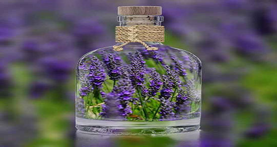 کالری عرق اسطوخودوس ؛ میزان کالری یک لیوان عرق اسطوخودوس چقدره
