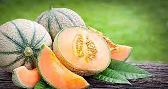 کالری ملون ؛ میزان کالری یک برش ملون برای بدن چقدر است