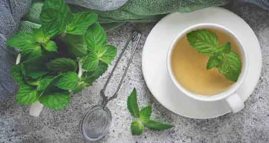 کالری نعناع فلفلی و چه میزان کالری در نعناع فلفلی وجود دارد کالری نعناع فلفلی ؛ چه میزان کالری در نعناع فلفلی وجود دارد