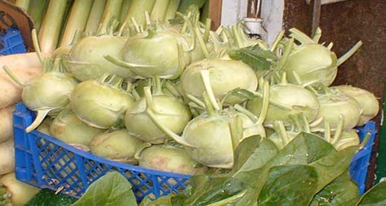 کالری کلم سنگ ؛ میزان کالری یک بوته کلم سنگ برای بدن چقدر است