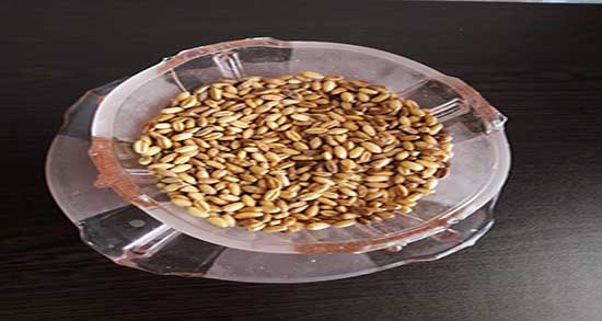 کالری گندم بو داده ؛ یک لیوان گندم بو داده برای بدن چقدر کالری دارد