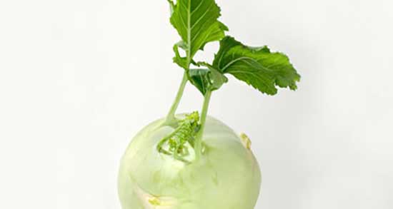 کلم سنگ برای سنگ کلیه و خواص مصرف کلم سنگ برای سنگ کلیه کلم سنگ برای سنگ کلیه ؛ خواص مصرف کلم سنگ برای سنگ کلیه