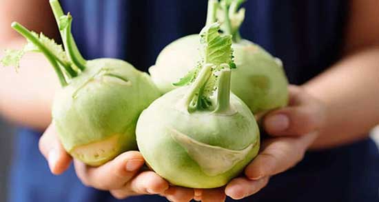 کلم سنگ و خواص آن ؛ خاصیت استفاده از کلم سنگ برای تصفیه خون