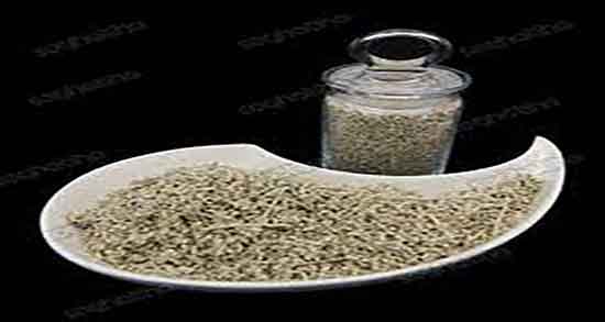 کلپوره در بارداری ؛ ایا استفاده از گیاه کلپوره در بارداری ضرر دارد یا نه