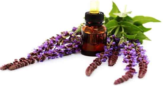 کلپوره و دیابت ؛ ایا استفاده از کلپوره برای کنترل قند خون مفیده