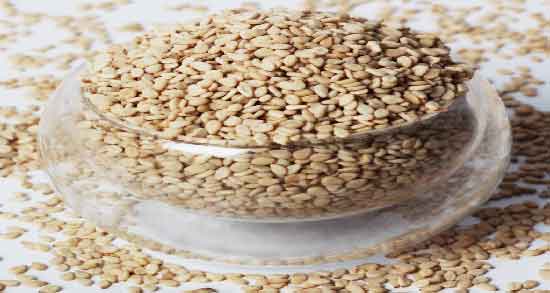 کنجد در رژیم کتوژنیک ؛ آیا می توان در رژیم کتوژنیک از کنجد استفاده کرد؟