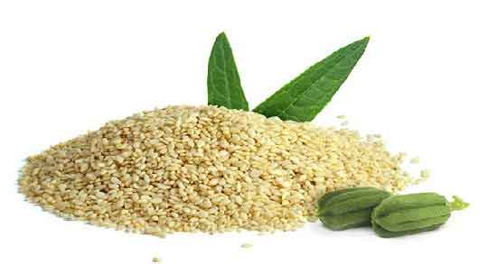 کنجد و اسید اوریک ؛ خاصیت خوردن کنجد برای درمان اسید اوریک