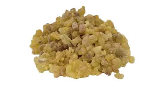 کندر را از کجا تهیه کنیم؟ ؛ در چه مکان هایی کندر وجود دارد؟