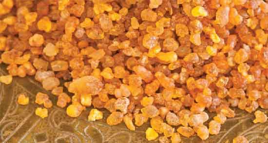 کندر را بجویم یا قورت دهیم ؛ چگونه کندر را مصرف کنیم؟