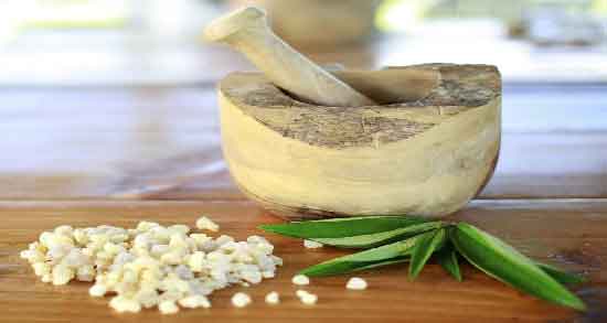 کندر و لاغری و بهترین روش مصرف کندر برای کاهش وزن کندر و لاغری ؛ بهترین روش مصرف کندر برای کاهش وزن