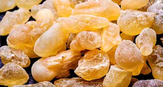 کندر چیست ؛ معرفی کامل کندر و کاربردهای درمانی که دارد