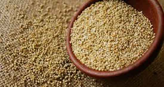 کینوا برای صبحانه و طریقه مصرف کینوا تازه برای وعده غذایی کینوا برای صبحانه ؛ طریقه مصرف کینوا تازه برای وعده غذایی