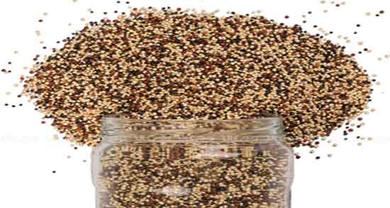 کینوا و کتوژنیک ؛ خوردن دانه کینوا در رژیم کتوژنیک چه تاثیری دارد