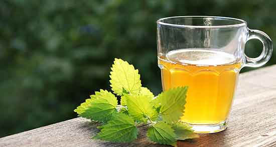گزنه در دیابت بارداری ؛ دمنوش گزنه سریعترین راه درمان دیابت بارداری