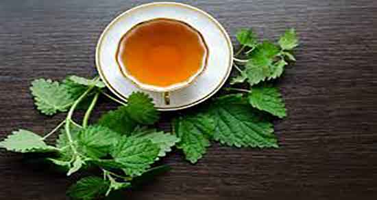 گزنه و قند خون ؛ ایا خوردن دمنوش گیاه گزنه برای قند خون خوبه