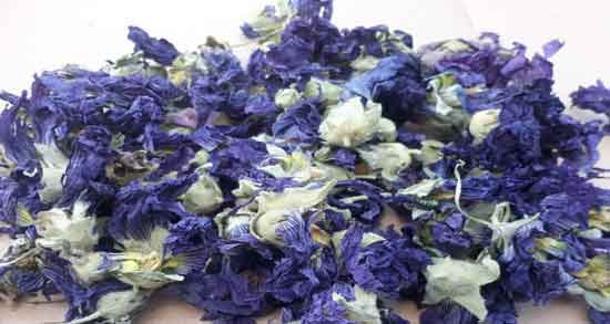 گل ختمی برای سرماخوردگی نوزاد و درمان سرماخوردگی نوزاد با مصرف گل ختمی گل ختمی برای سرماخوردگی نوزاد ؛ درمان سرماخوردگی نوزاد با مصرف گل ختمی