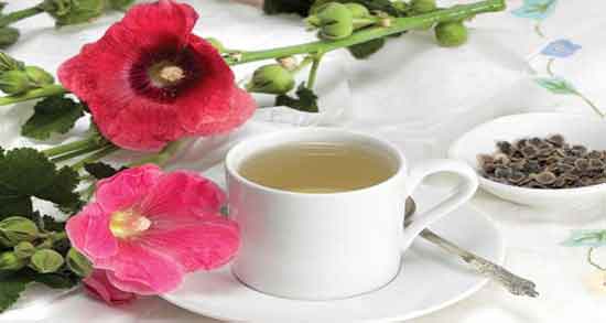 گل ختمی در دوران بارداری و آیا مصرف گل ختمی برای زنان باردار بی خطر است؟ گل ختمی در دوران بارداری ؛ آیا مصرف گل ختمی برای زنان باردار بی خطر است؟