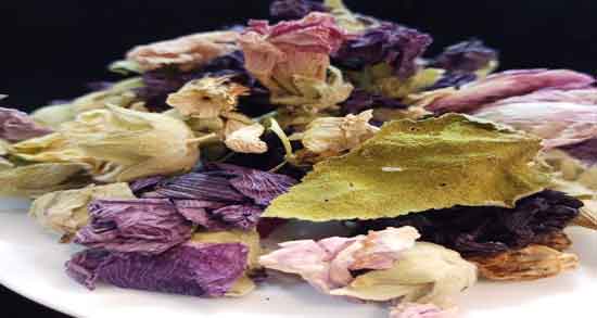 گل ختمی و بابونه و بررسی خواص و کاربردهای گل ختمی و بابونه گل ختمی و بابونه ؛ بررسی خواص و کاربردهای گل ختمی و بابونه