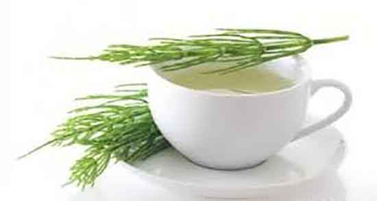 گیاه دم اسب و ریزش مو ؛ خاصیت استفاده از گیاه دم اسب برای موی سر