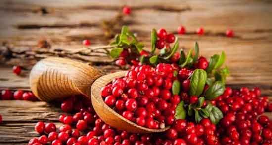 گیاه قره قاط ؛ فواید مصرف گیاه قره قاط برای کنترل دیابت زنان باردار