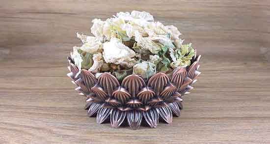 گل ختمی و اگزما ؛ خاصیت مصرف گل ختمی برای درمان اگزما