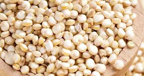 کینوا و کاهش وزن ؛ ایا خوردن روزانه کینوا در سالاد باعث لاغری میشود کینوا و کاهش وزن ؛ ایا خوردن روزانه کینوا در سالاد باعث لاغری میشود