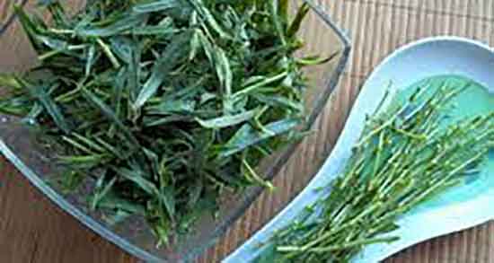 ترخون و رزماری ؛ مخلوط ترخون و رزماری برای زیبایی پوست صورت ترخون و رزماری ؛ مخلوط ترخون و رزماری برای زیبایی پوست صورت