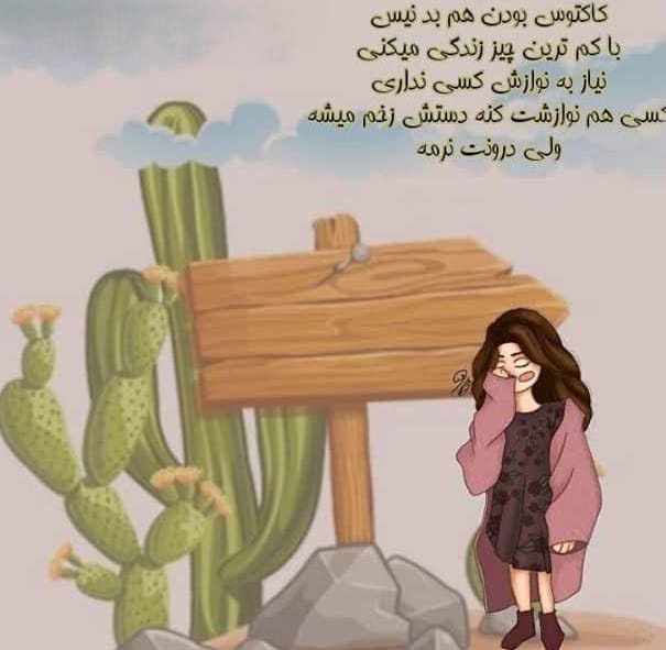 متن درباره گل کاکتوس 🌵؛ جملات استوری و کپشن احساسی
